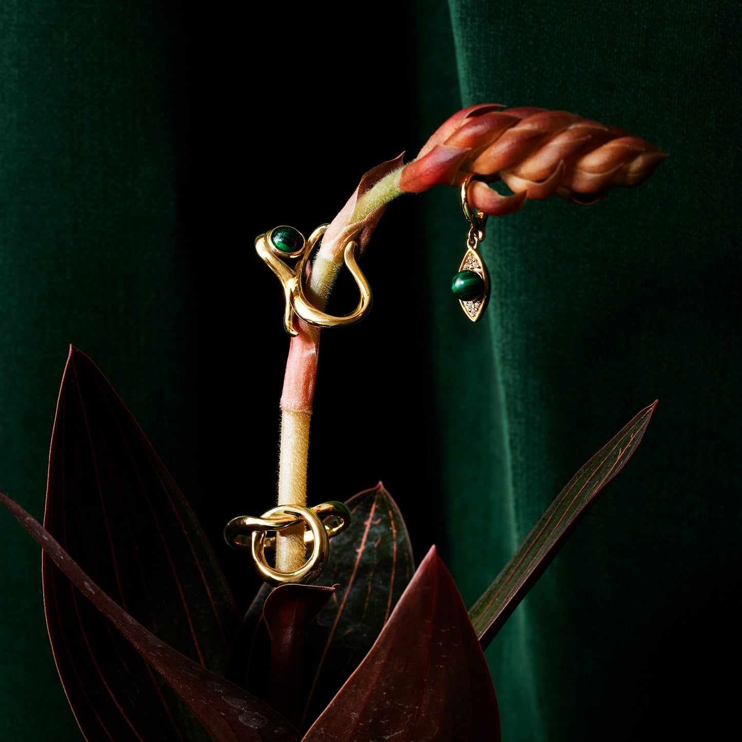 Zodiac チャーム Taurus - おうし座