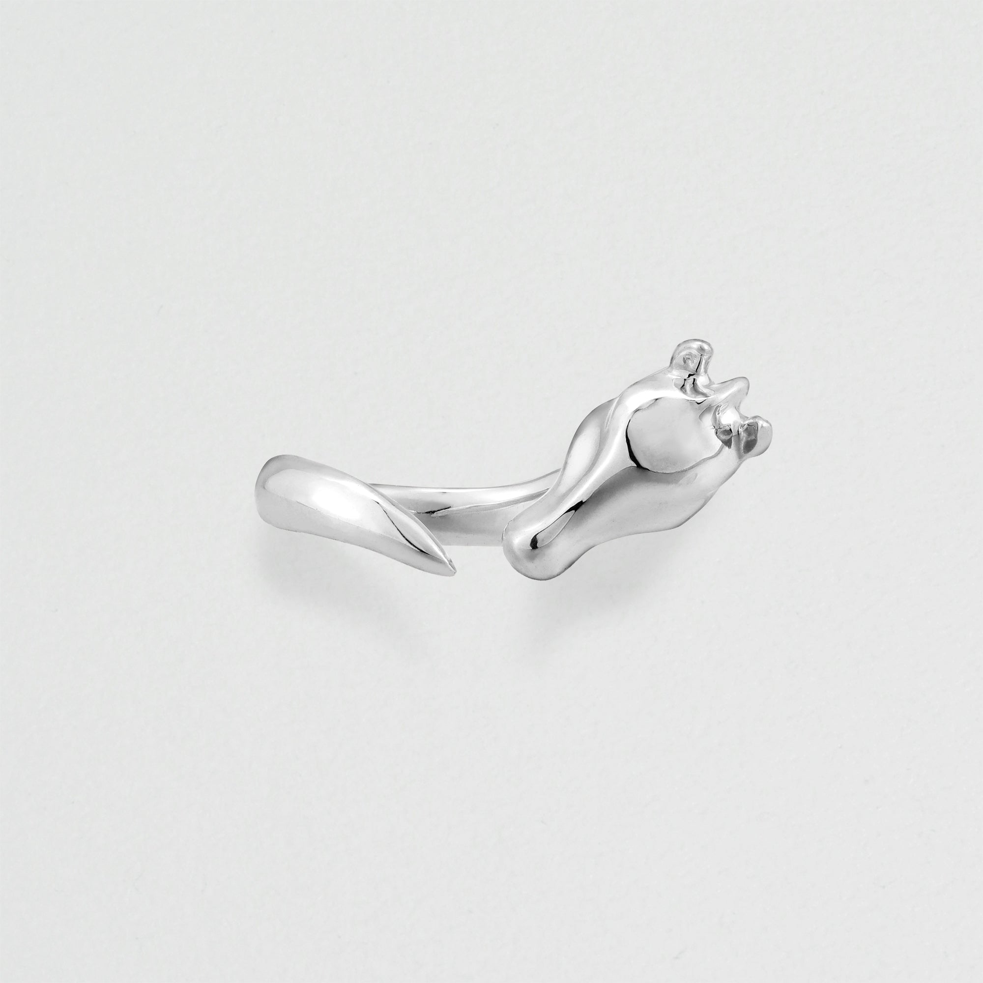 SILVER HORSES リング Holy Horse リング – VERMILLION