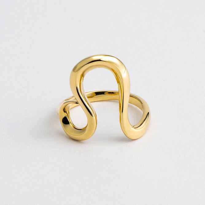 Zodiac リング Leo - しし座