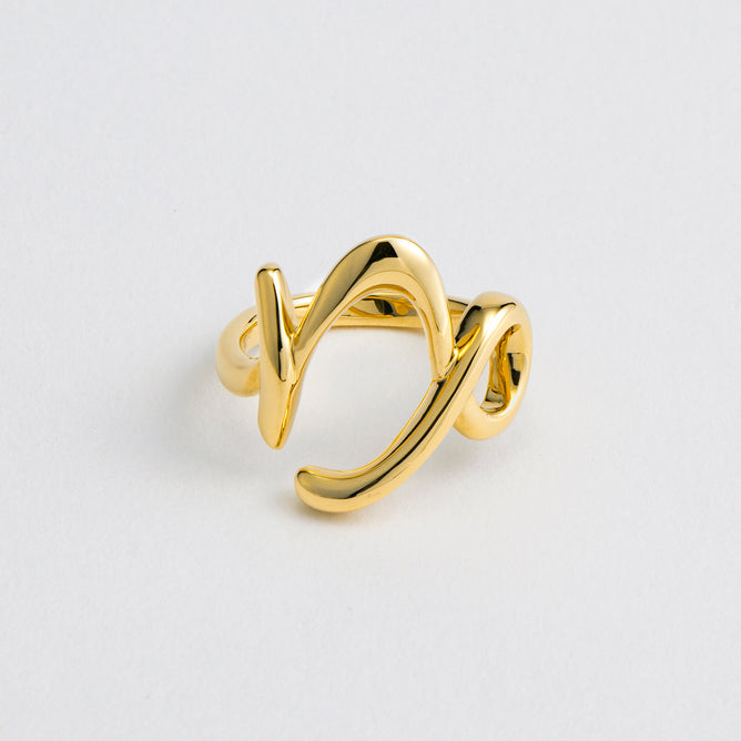 Zodiac リング Capricorn - やぎ座