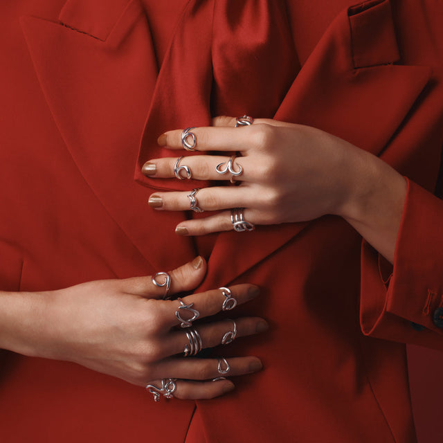 ZODIAC COMPASS the four Season  - Spring -