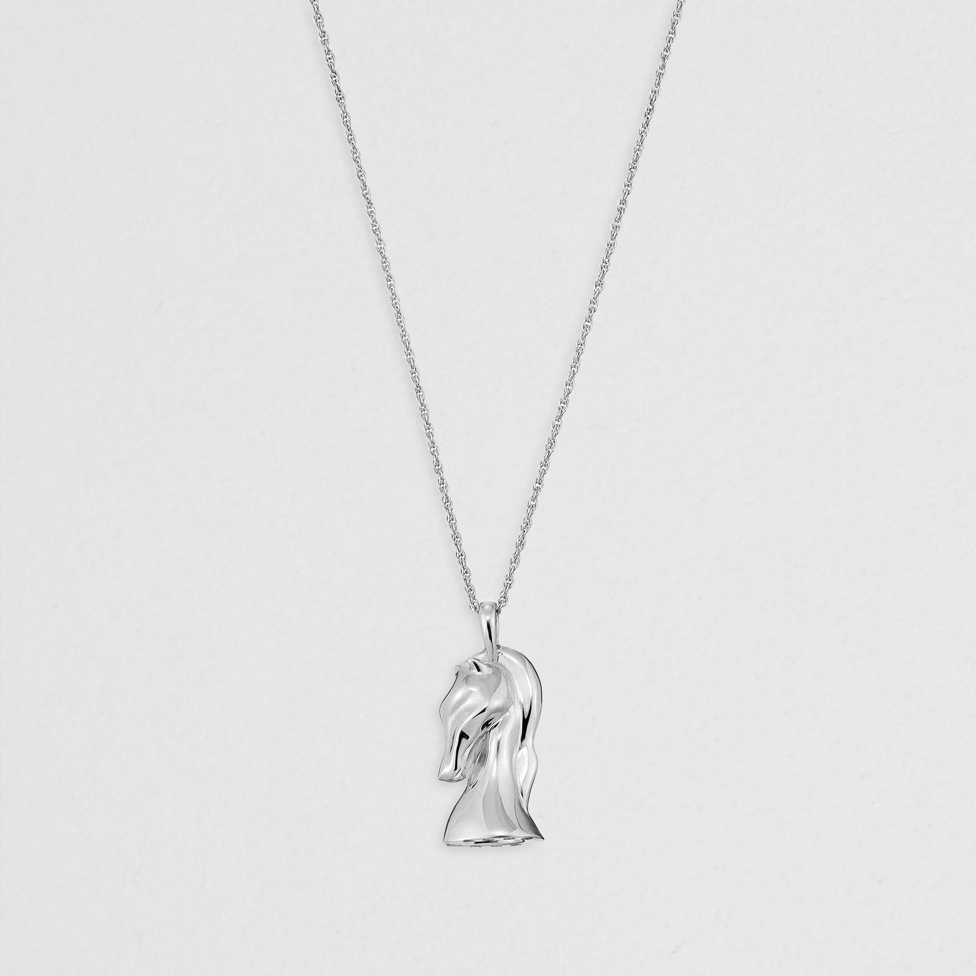 Holy Horse ネックレス – VERMILLION