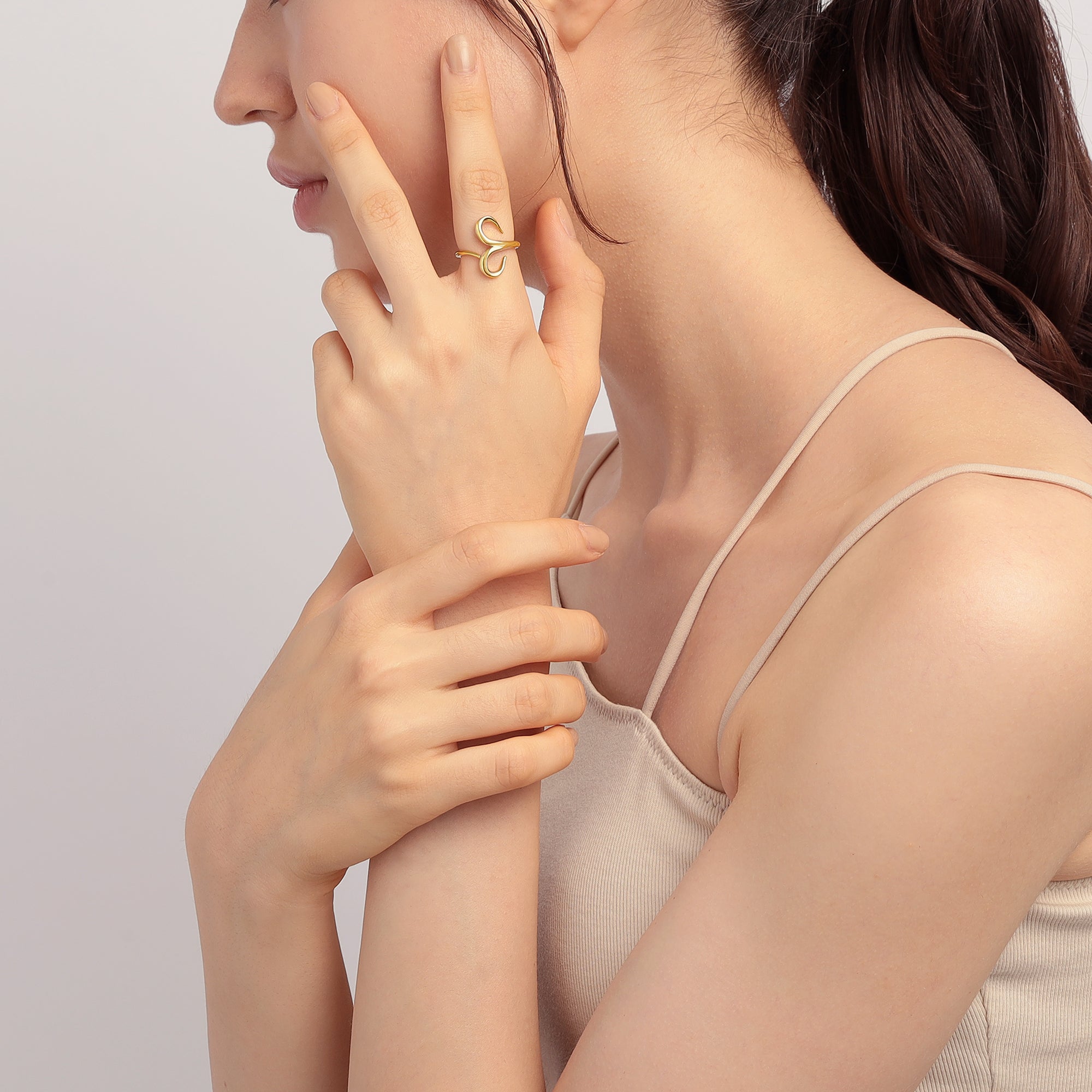 Zodiac リング Aries - おひつじ座 – VERMILLION