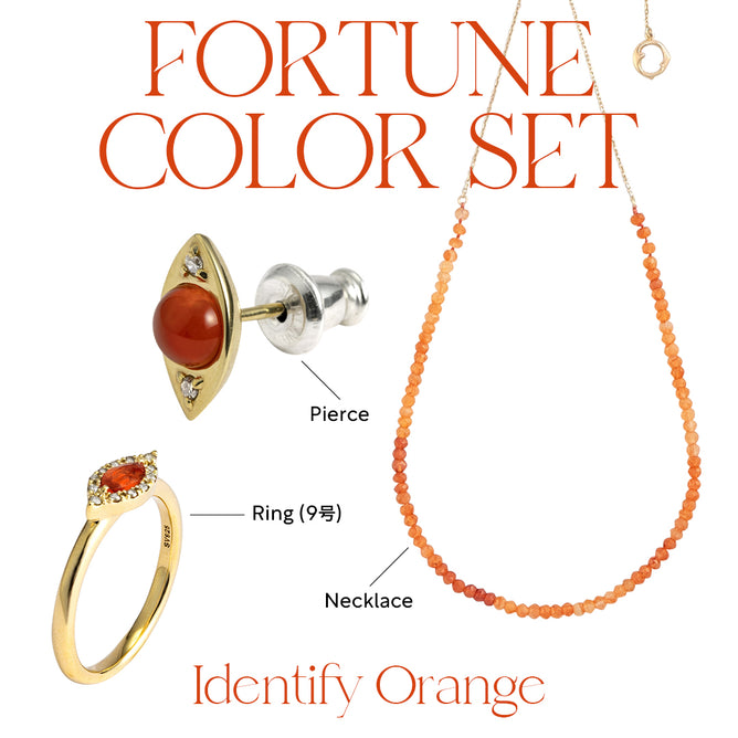 FORTUNE COLOR SET_Identify Orange